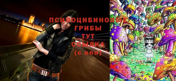 крисы Остров