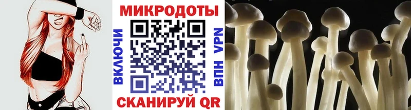 купить закладку  Саратов  Псилоцибиновые грибы Psilocybine cubensis 
