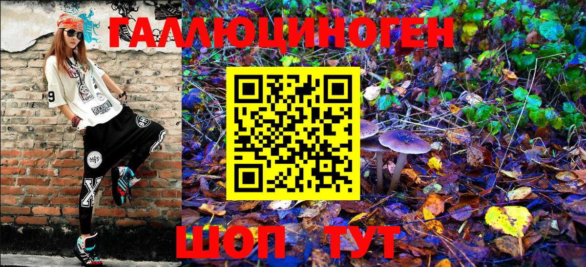 Саратов  Псилоцибиновые грибы Psilocybe  Вход с VPN 