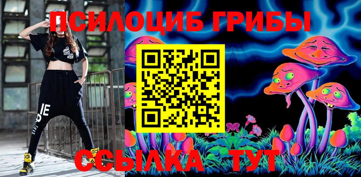 Псилоцибиновые грибы мицелий  где найти   Саратов 