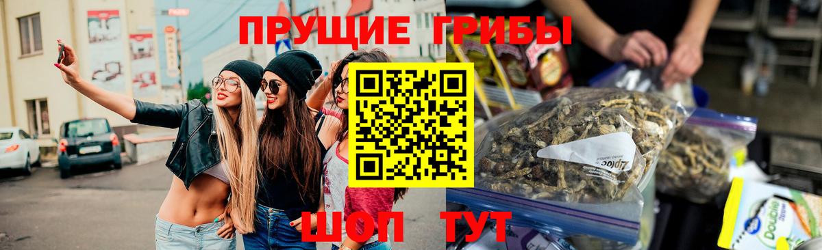 Псилоцибиновые грибы GOLDEN TEACHER Саратов