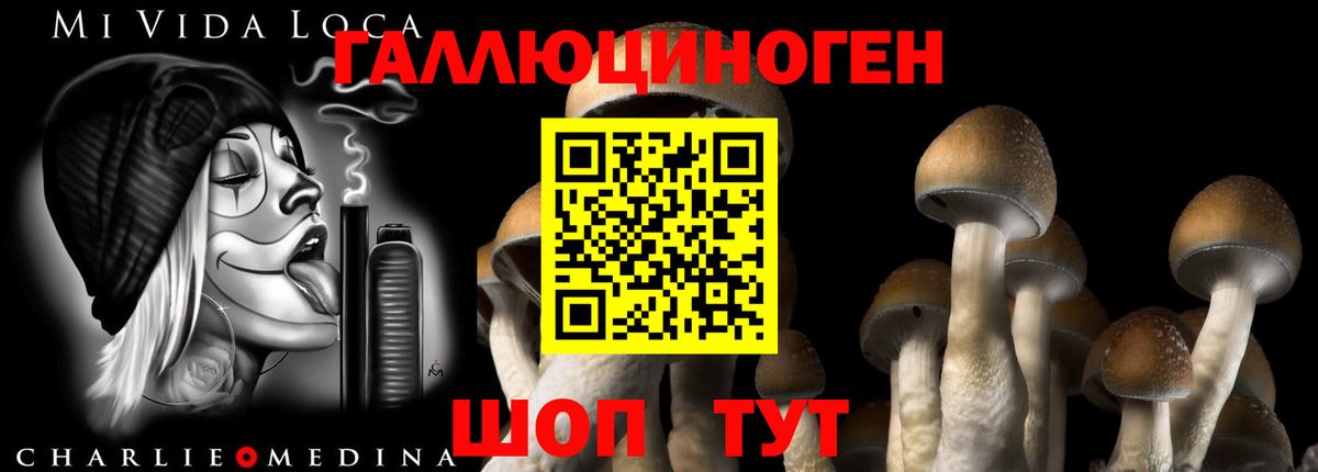 Галлюциногенные грибы Magic Shrooms Саратов
